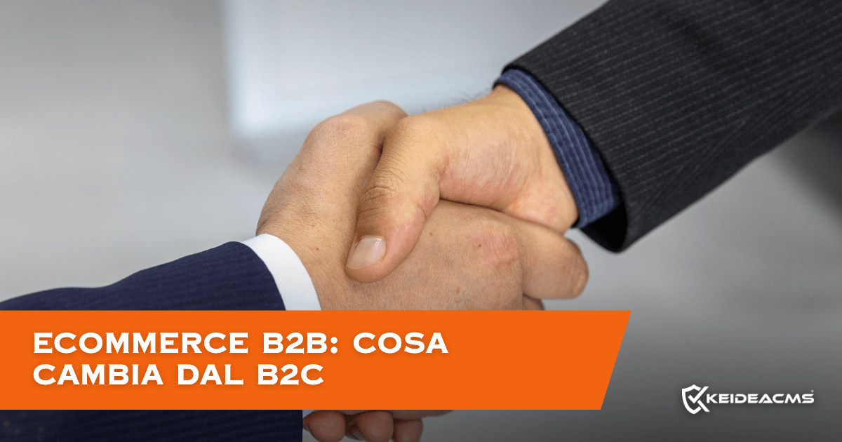 Ecommerce B2B: come funziona e in cosa è diverso dal B2C